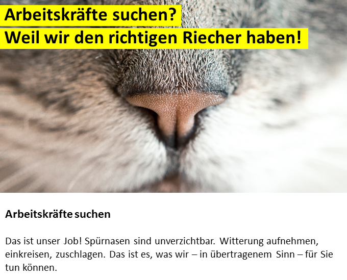 arbeitskräfte suchen arbeitskraft suchen arbeiter suchen
